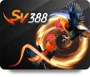 M88 Casino Live: The Future of Online Gambling and Entertainment